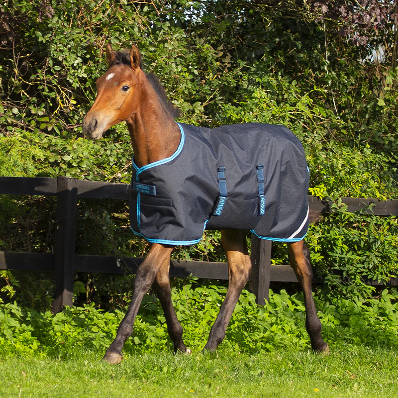 Horseware - Couverture d'extérieur Amigo Foal bleu électrique/ marine 50g – Image 3