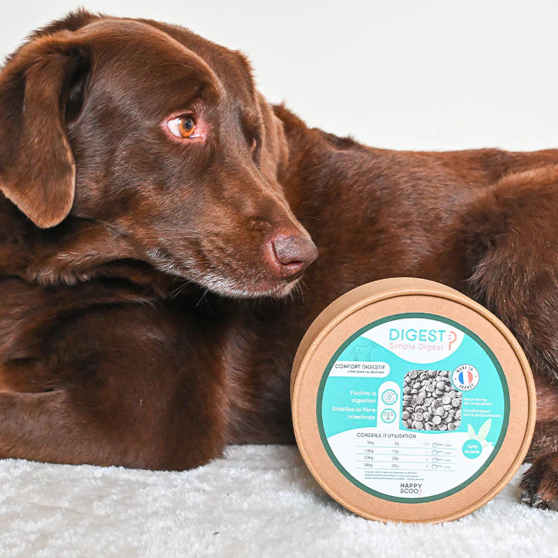 Happy Scoop - Complément alimentaire croquettes Digest pour chiens – Image 4