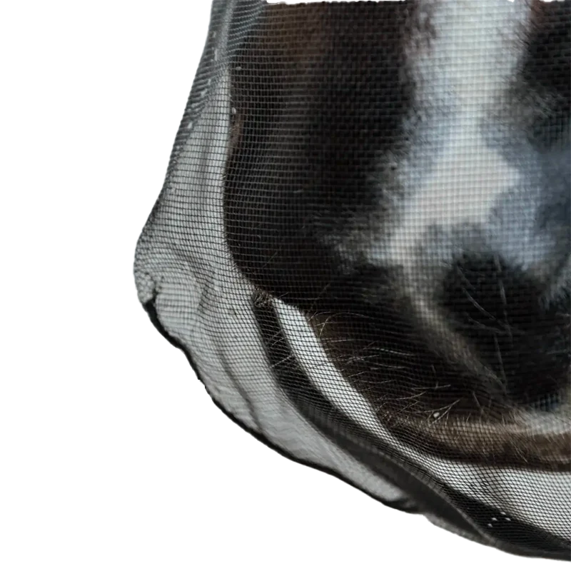 Kentucky Horsewear - Filet de nez anti-mouches – Image 3