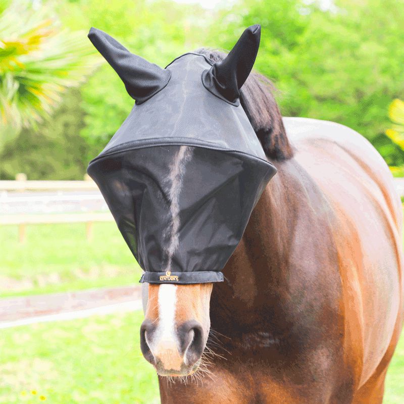 Kentucky Horsewear - Masque anti-mouches pro – Image 4