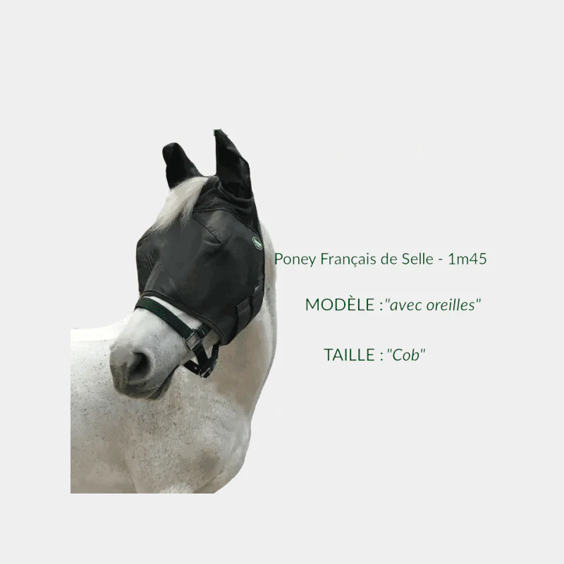 Ravene - Masque pour chevaux anti-mouches et UV avec oreilles – Image 5