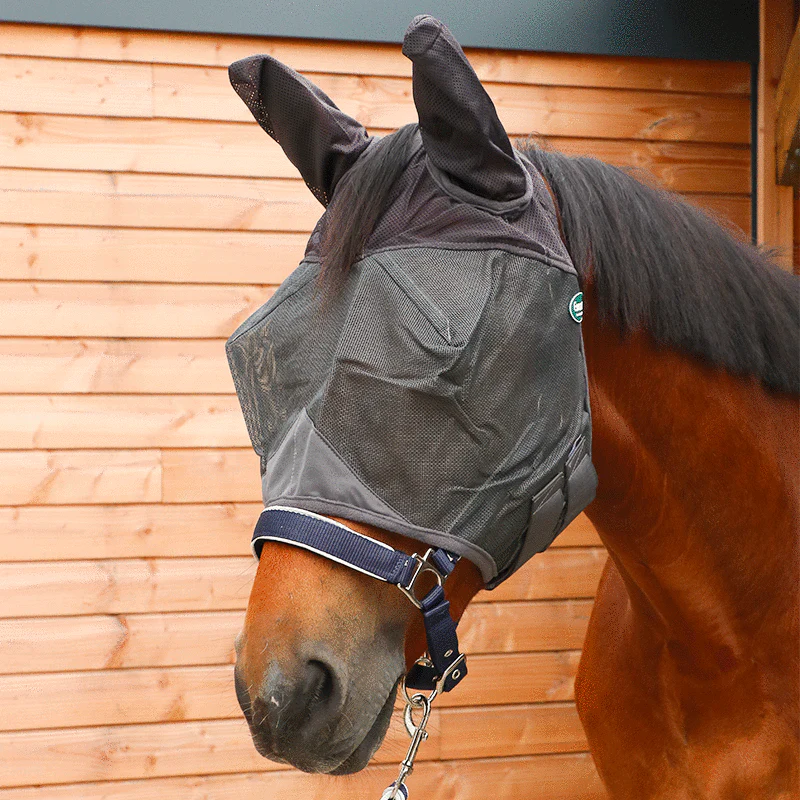 Ravene - Masque pour chevaux anti-mouches et UV avec oreilles – Image 3